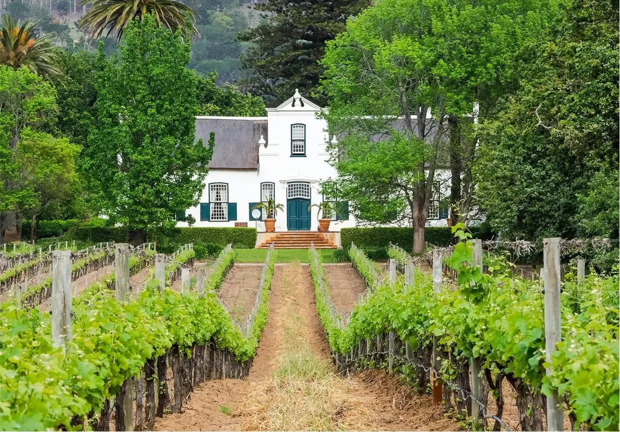 Constantia 1