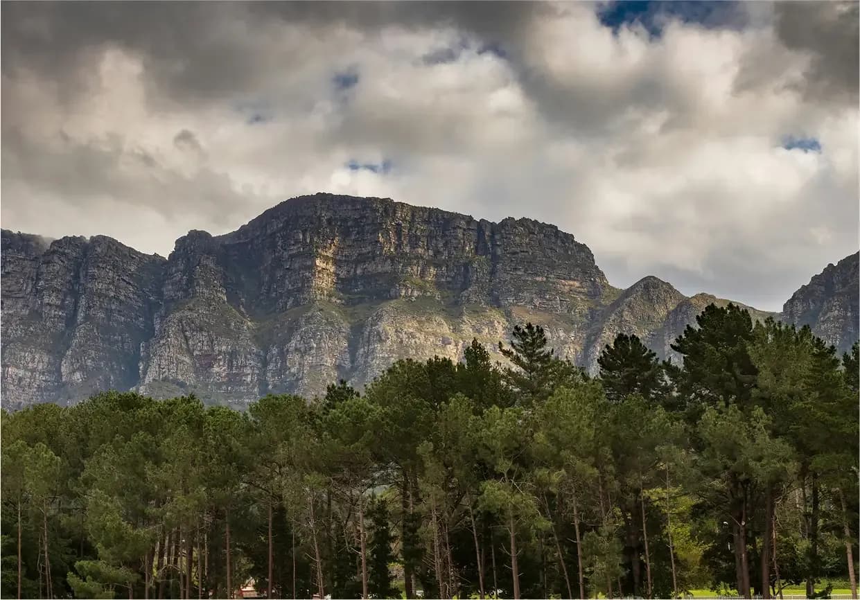 Newlands House Sawubona