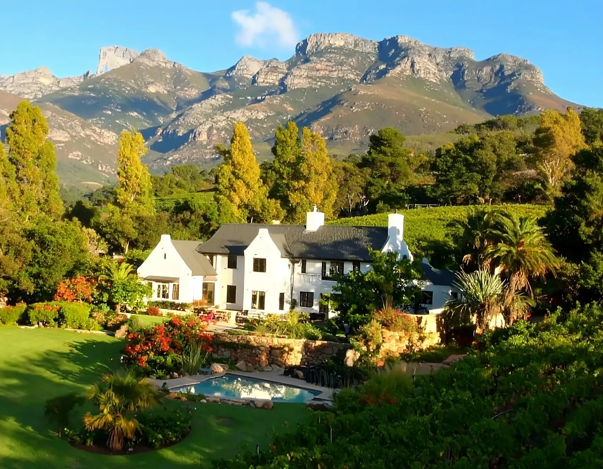 Cape Winelands estate with mountains