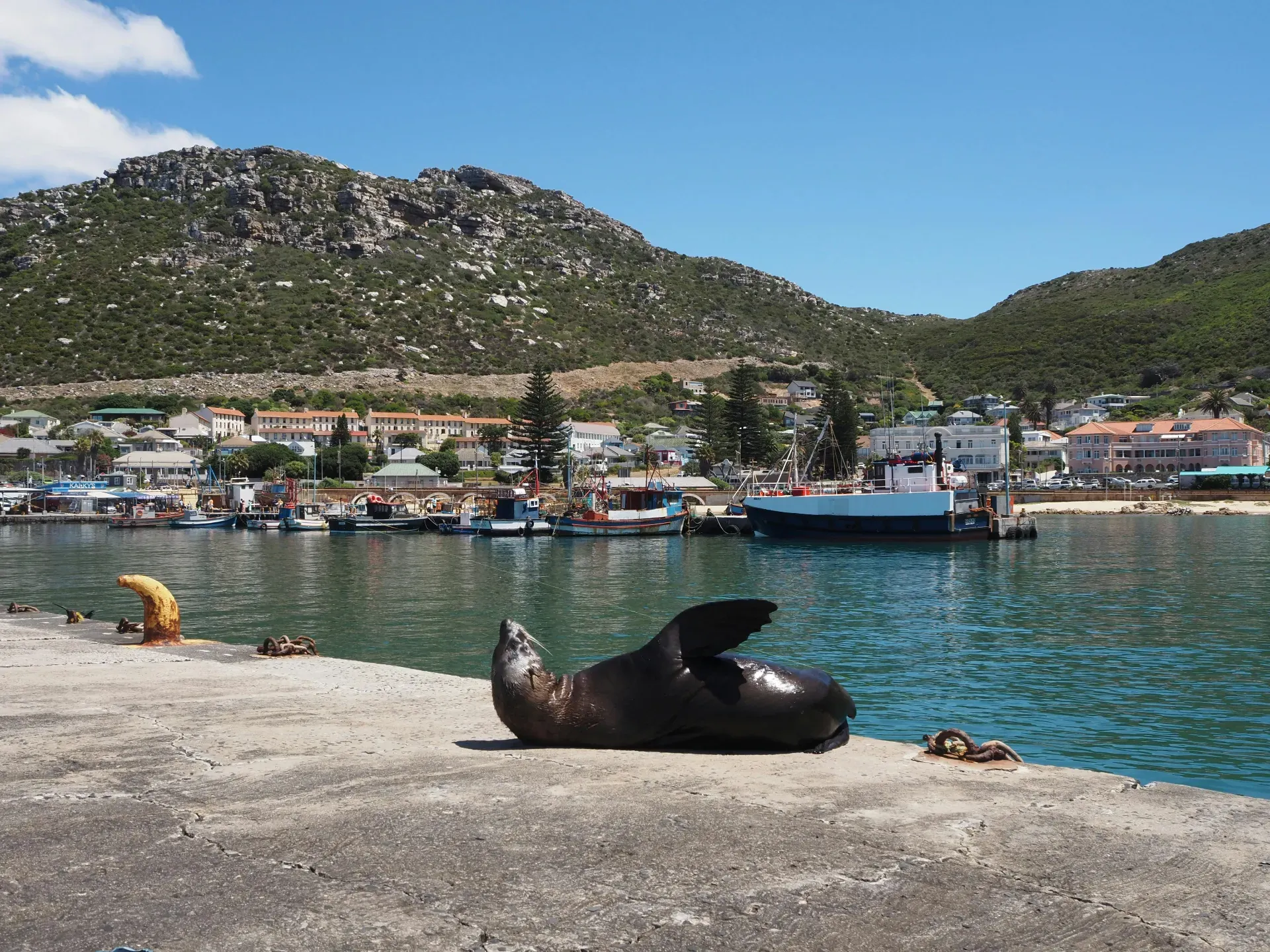Kalk Bay harbor - charming bohemian fishing village
