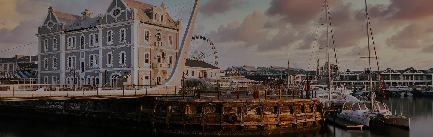 Insights - Market Analysis and Investment Trends